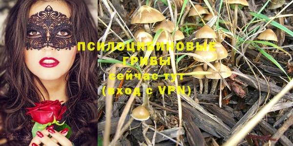 мескалин Богородицк